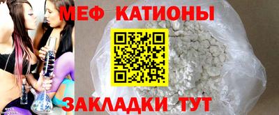 индика Аша