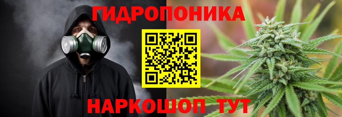 Гусиноозёрск  Шишки марихуана марихуана  МАРИХУАНА конопля  Вход с VPN 